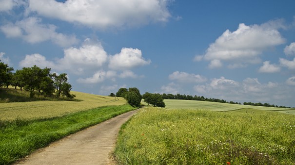 pflegehilfe