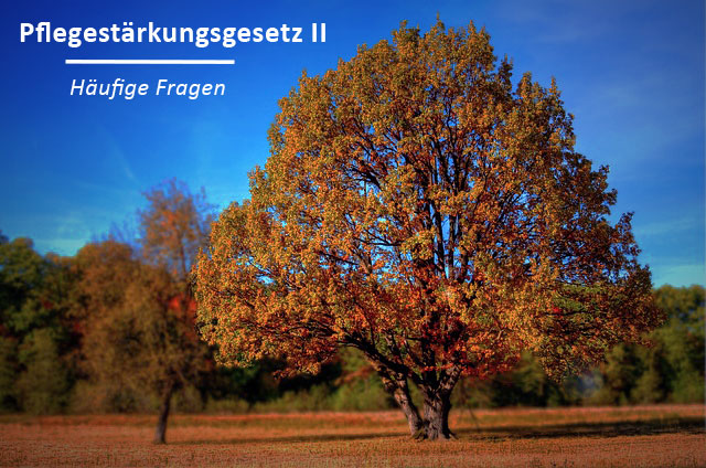 pflegestaerkungsgesetzii