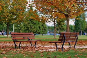 bench-1677958_1920